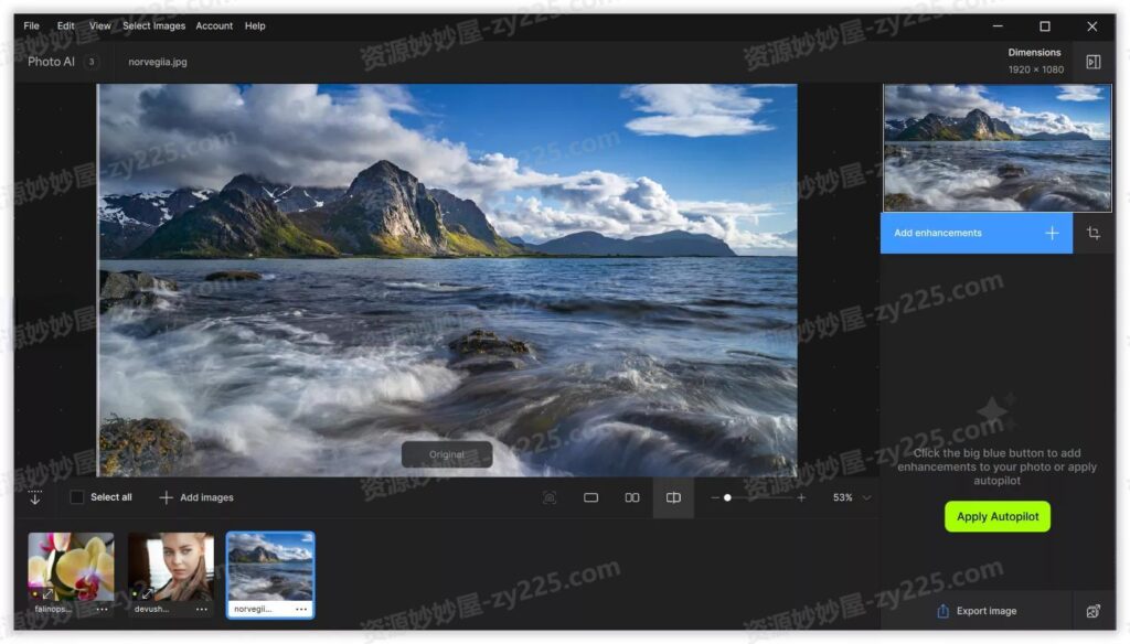 图片[3]-Topaz Photo AI破解版(图片降噪软件)v3.4.0 Stable 绿色便携版 (无模型版 / 集成离线模型版)-资源妙妙屋