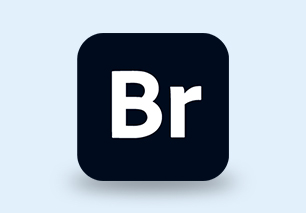 Adobe Bridge 2025 v15.0.2.432 x64 Multilingual 多国语言特别版-资源妙妙屋