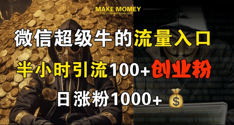 微信超级牛的流量入口，半小时引流100+创业粉，日涨粉1000+-资源妙妙屋