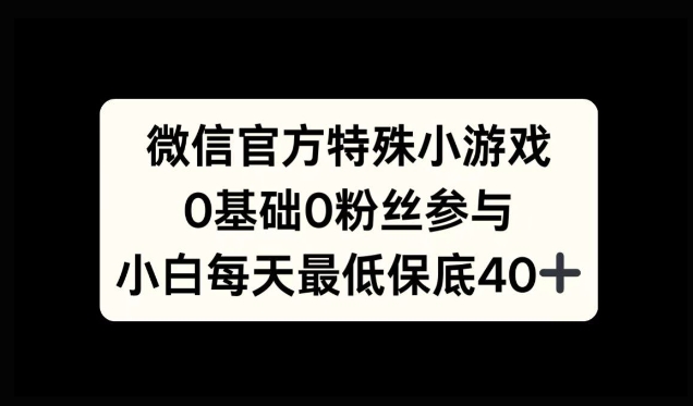 微信官方特定小游戏，0基础0粉丝，小白上手每天最少保底40+-资源妙妙屋