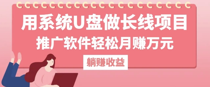 用系统U盘做长线项目，推广软件轻松月入过W-资源妙妙屋