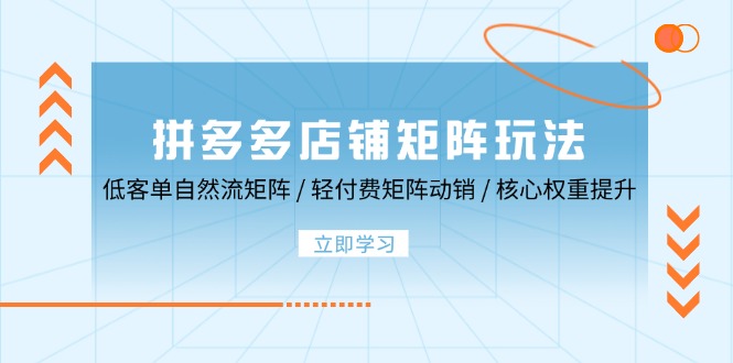 拼多多店铺矩阵玩法：低客单自然流矩阵 / 轻付费矩阵 动销 / 核心权重提升-资源妙妙屋