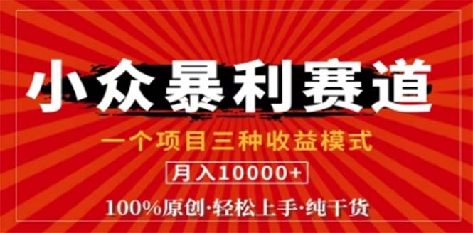 视频号最新爆火赛道，三种可收益模式，0粉新号条条原创条条热门 日入1000+-资源妙妙屋