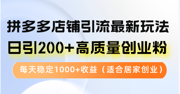 拼多多店铺引流最新玩法，日引200+高质量创业粉，每天稳定1000+收益-资源妙妙屋