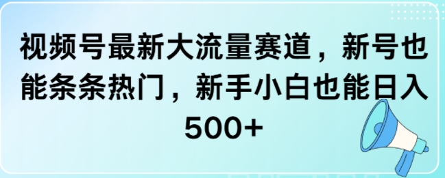 视频号最新大流量赛道，新号也能条条热门，新手小白也能日入5张-资源妙妙屋