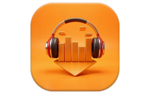 DLNow Video Downloader v1.56.2026.10.11 多语便携版